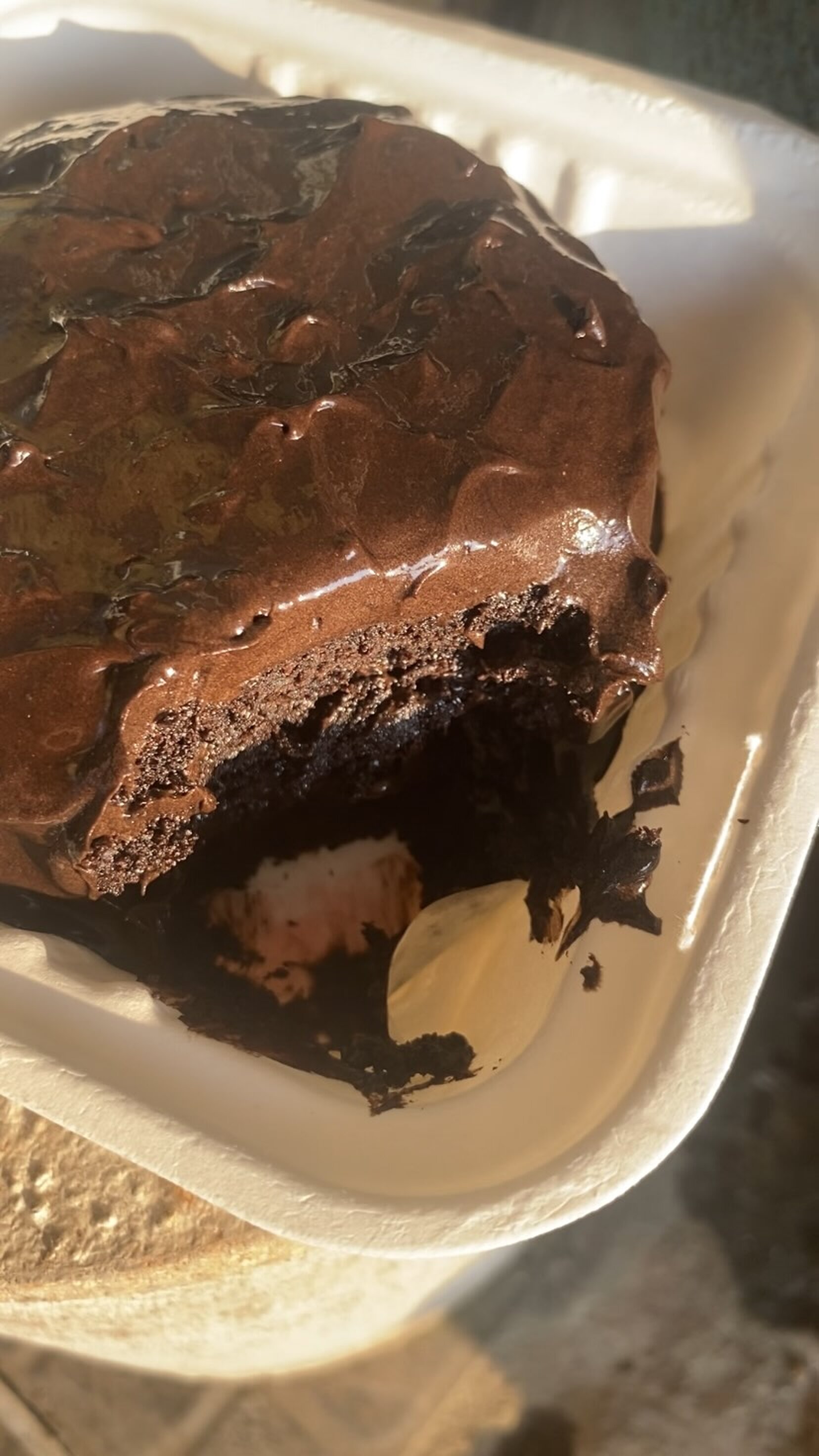 Fudge cake slice