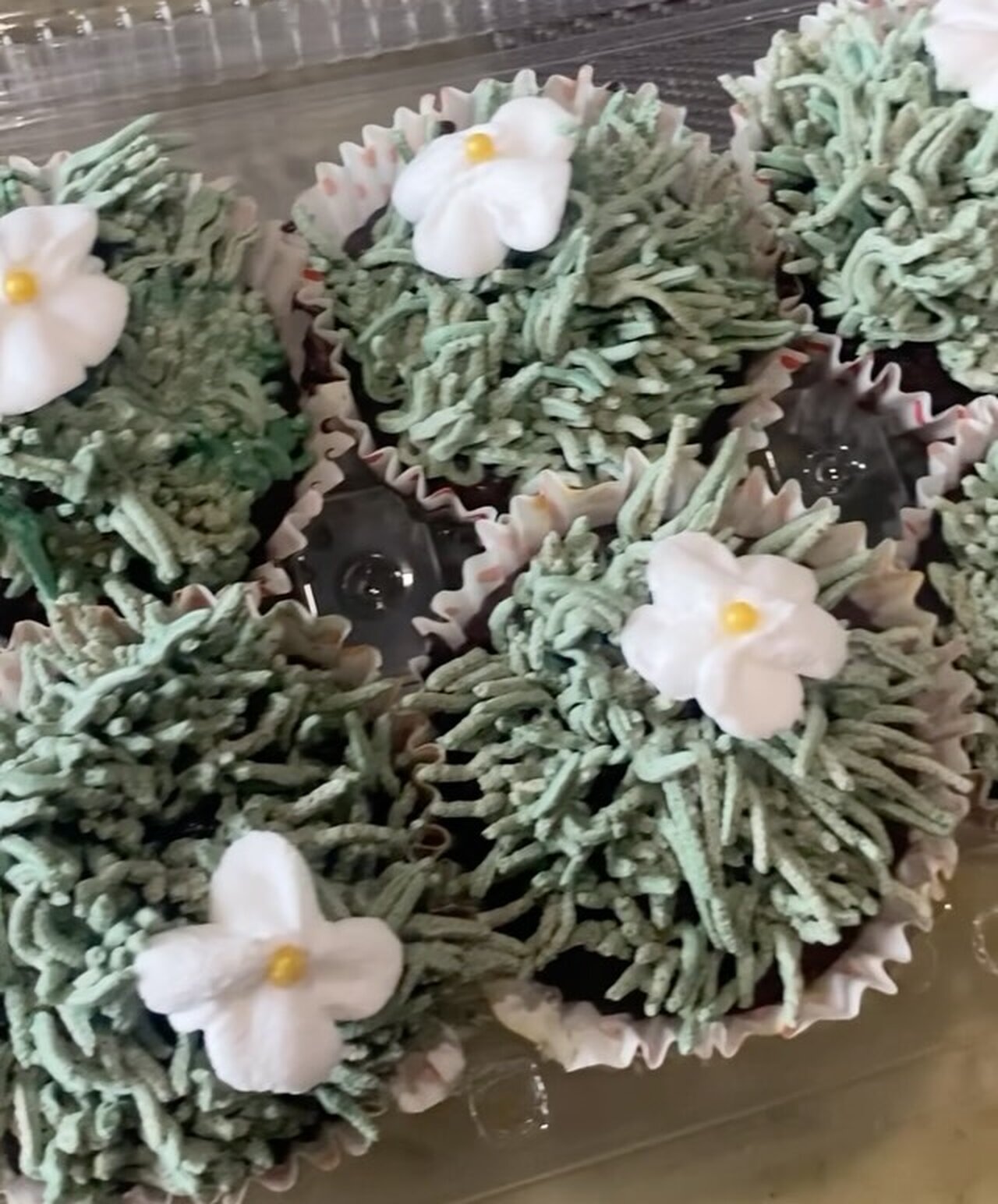 Piped cupcakes ready to box